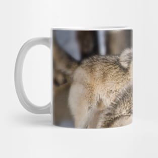 Timber Wolves Mug